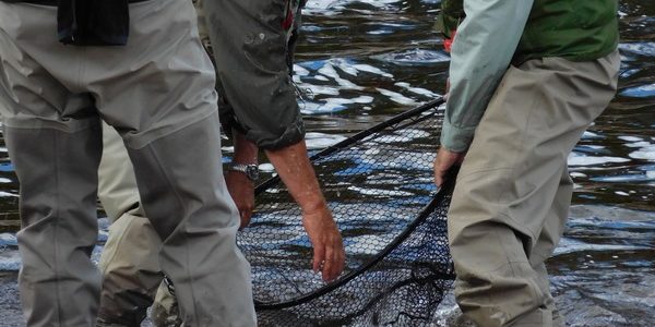 28 remises à l’eau