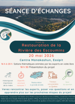 Affiche_sanssiteweb